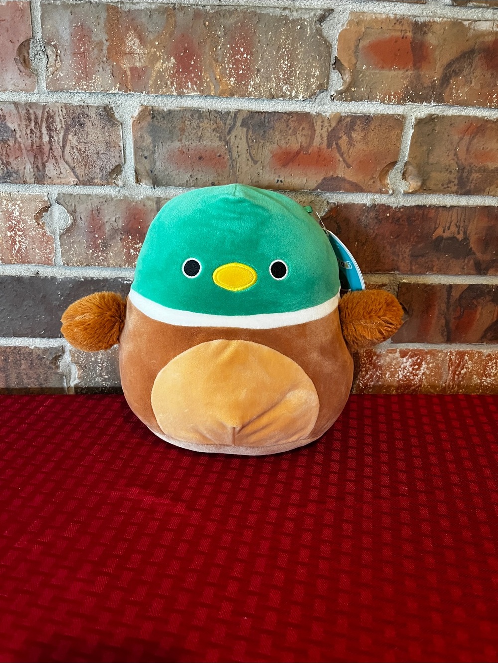 Squishmallows Avery the mallard Duck plush NWT